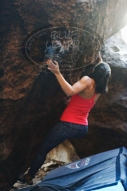 

Filename: SRM_20170317_1334133.jpg
Aperture: f/2.8
Shutter Speed: 1/200
Body: Canon EOS-1D Mark II
Lens: Canon EF 50mm f/1.8 II