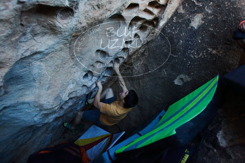 

Filename: SRM_20170317_1000070.jpg
Aperture: f/3.5
Shutter Speed: 1/320
Body: Canon EOS-1D Mark II
Lens: Canon EF 16-35mm f/2.8 L