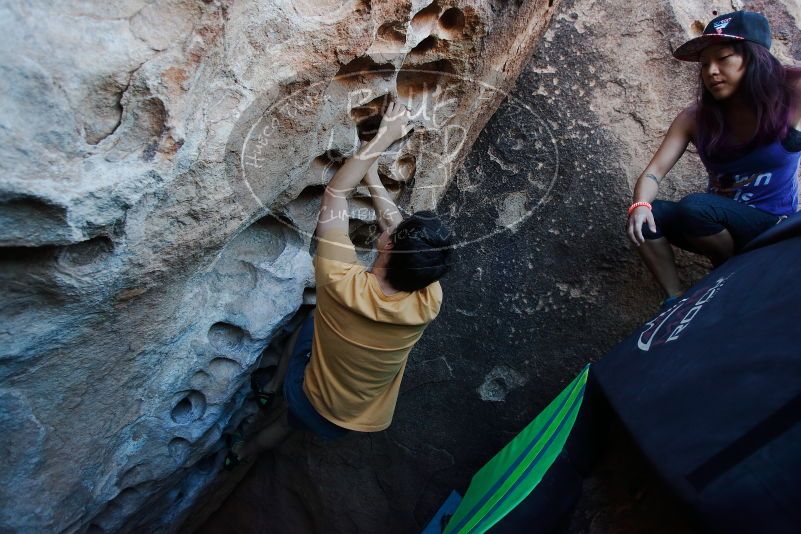 

Filename: SRM_20170317_1000180.jpg
Aperture: f/3.5
Shutter Speed: 1/400
Body: Canon EOS-1D Mark II
Lens: Canon EF 16-35mm f/2.8 L