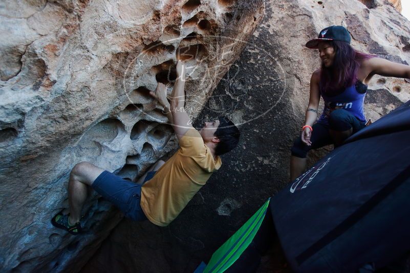 

Filename: SRM_20170317_1000210.jpg
Aperture: f/4.0
Shutter Speed: 1/320
Body: Canon EOS-1D Mark II
Lens: Canon EF 16-35mm f/2.8 L