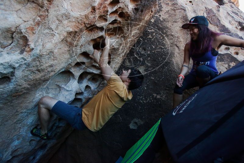 

Filename: SRM_20170317_1000211.jpg
Aperture: f/4.0
Shutter Speed: 1/320
Body: Canon EOS-1D Mark II
Lens: Canon EF 16-35mm f/2.8 L