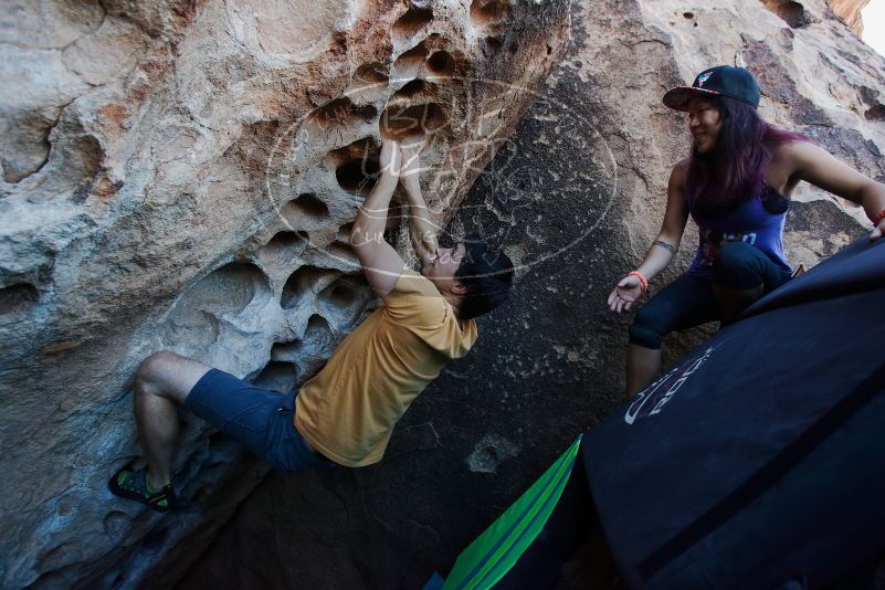 

Filename: SRM_20170317_1000220.jpg
Aperture: f/4.0
Shutter Speed: 1/320
Body: Canon EOS-1D Mark II
Lens: Canon EF 16-35mm f/2.8 L