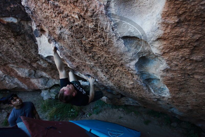 

Filename: SRM_20170317_1001010.jpg
Aperture: f/3.5
Shutter Speed: 1/320
Body: Canon EOS-1D Mark II
Lens: Canon EF 16-35mm f/2.8 L