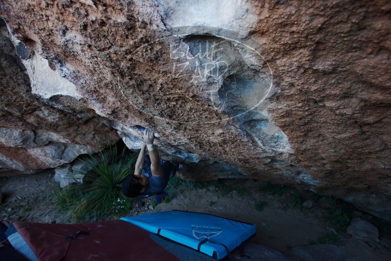 

Filename: SRM_20170317_1001400.jpg
Aperture: f/3.5
Shutter Speed: 1/320
Body: Canon EOS-1D Mark II
Lens: Canon EF 16-35mm f/2.8 L