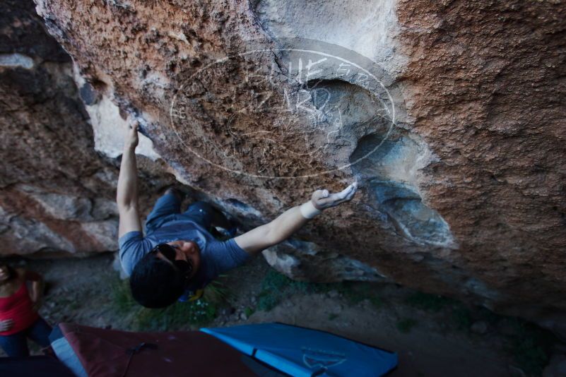 

Filename: SRM_20170317_1001480.jpg
Aperture: f/3.5
Shutter Speed: 1/320
Body: Canon EOS-1D Mark II
Lens: Canon EF 16-35mm f/2.8 L