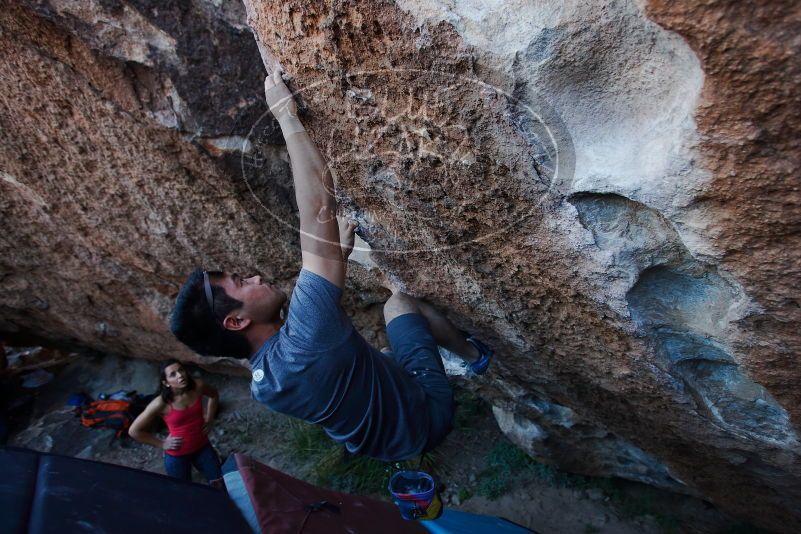 

Filename: SRM_20170317_1001580.jpg
Aperture: f/4.0
Shutter Speed: 1/320
Body: Canon EOS-1D Mark II
Lens: Canon EF 16-35mm f/2.8 L