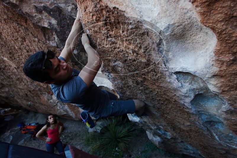 

Filename: SRM_20170317_1002020.jpg
Aperture: f/4.0
Shutter Speed: 1/320
Body: Canon EOS-1D Mark II
Lens: Canon EF 16-35mm f/2.8 L