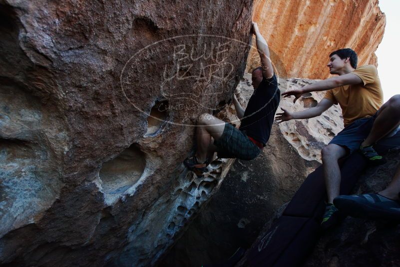 

Filename: SRM_20170317_1004170.jpg
Aperture: f/5.6
Shutter Speed: 1/320
Body: Canon EOS-1D Mark II
Lens: Canon EF 16-35mm f/2.8 L