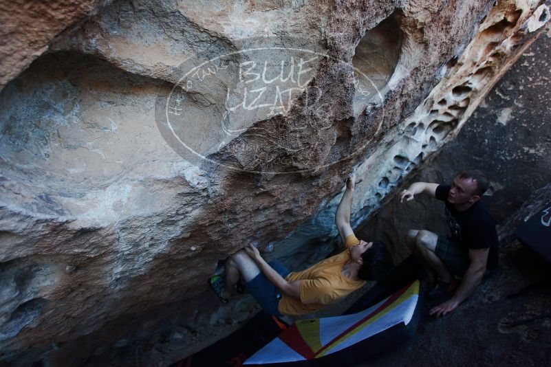 

Filename: SRM_20170317_1006271.jpg
Aperture: f/3.5
Shutter Speed: 1/320
Body: Canon EOS-1D Mark II
Lens: Canon EF 16-35mm f/2.8 L