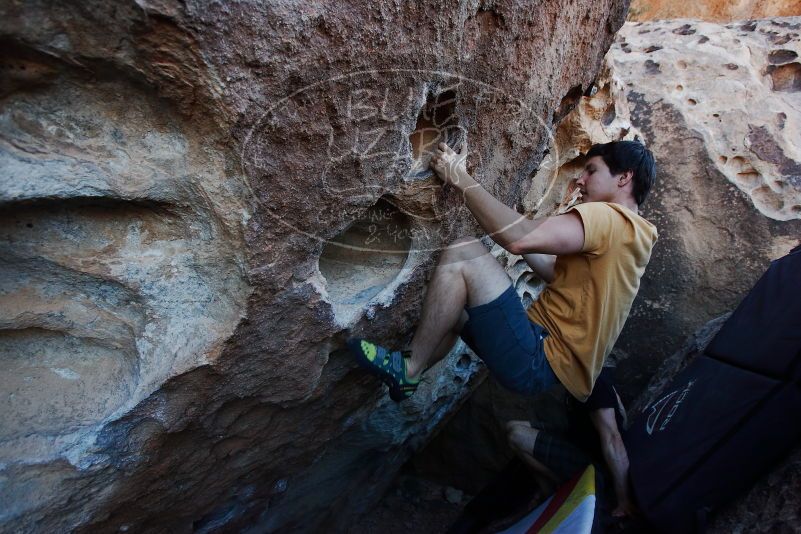 

Filename: SRM_20170317_1006450.jpg
Aperture: f/4.5
Shutter Speed: 1/320
Body: Canon EOS-1D Mark II
Lens: Canon EF 16-35mm f/2.8 L