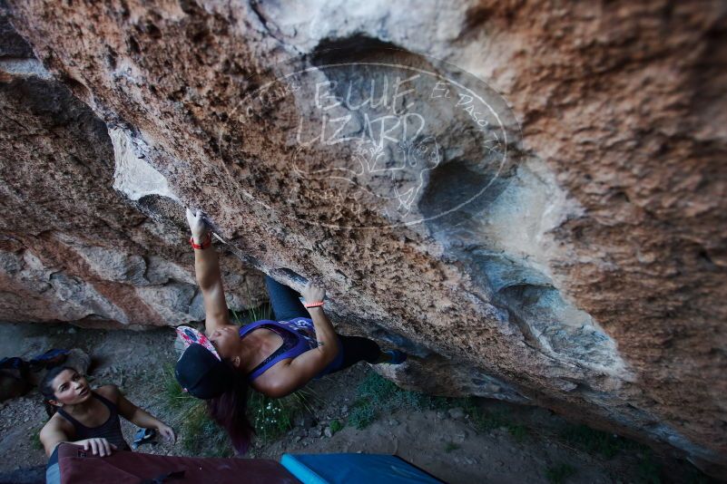 

Filename: SRM_20170317_1006550.jpg
Aperture: f/3.2
Shutter Speed: 1/320
Body: Canon EOS-1D Mark II
Lens: Canon EF 16-35mm f/2.8 L