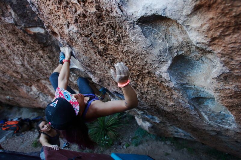 

Filename: SRM_20170317_1007030.jpg
Aperture: f/3.2
Shutter Speed: 1/320
Body: Canon EOS-1D Mark II
Lens: Canon EF 16-35mm f/2.8 L