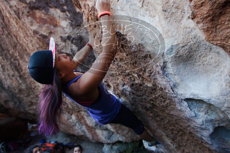 

Filename: SRM_20170317_1007140.jpg
Aperture: f/3.5
Shutter Speed: 1/320
Body: Canon EOS-1D Mark II
Lens: Canon EF 16-35mm f/2.8 L