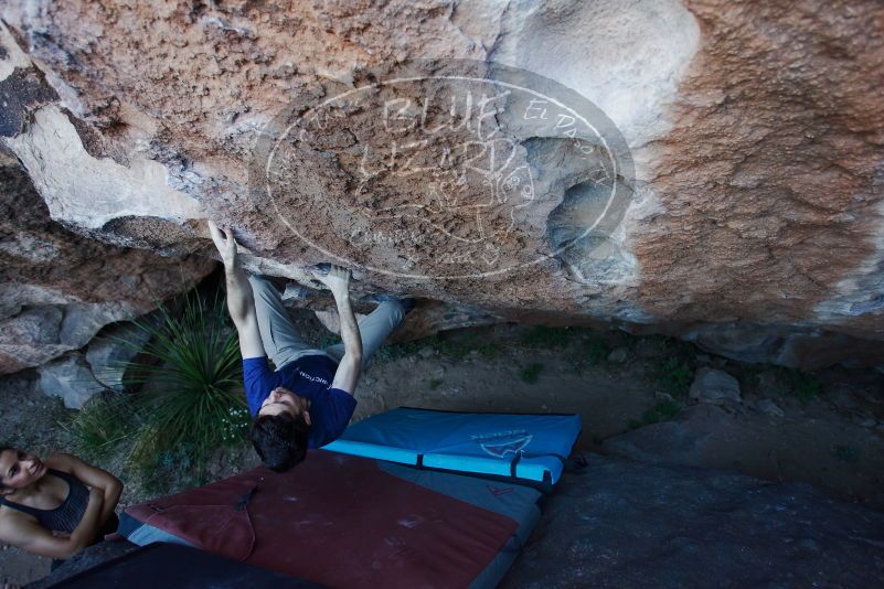 

Filename: SRM_20170317_1008510.jpg
Aperture: f/3.2
Shutter Speed: 1/320
Body: Canon EOS-1D Mark II
Lens: Canon EF 16-35mm f/2.8 L