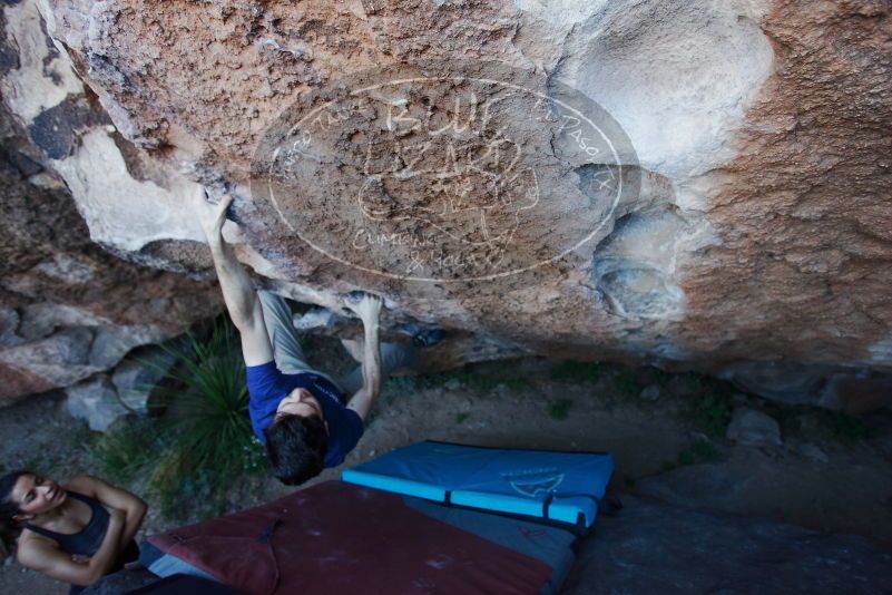 

Filename: SRM_20170317_1008530.jpg
Aperture: f/3.2
Shutter Speed: 1/320
Body: Canon EOS-1D Mark II
Lens: Canon EF 16-35mm f/2.8 L