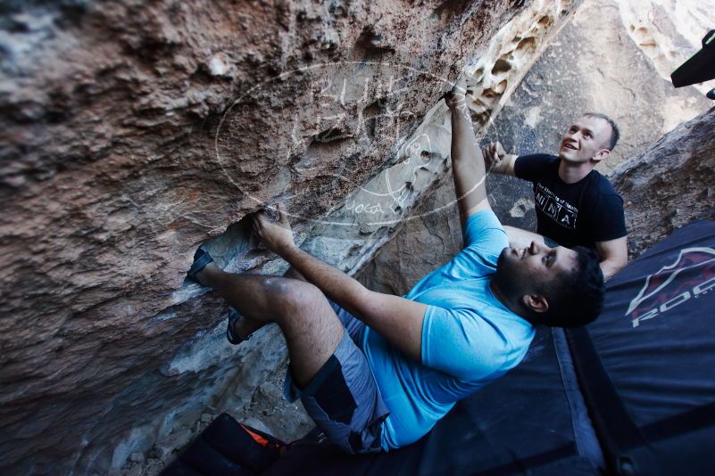 

Filename: SRM_20170317_1014180.jpg
Aperture: f/2.8
Shutter Speed: 1/200
Body: Canon EOS-1D Mark II
Lens: Canon EF 16-35mm f/2.8 L