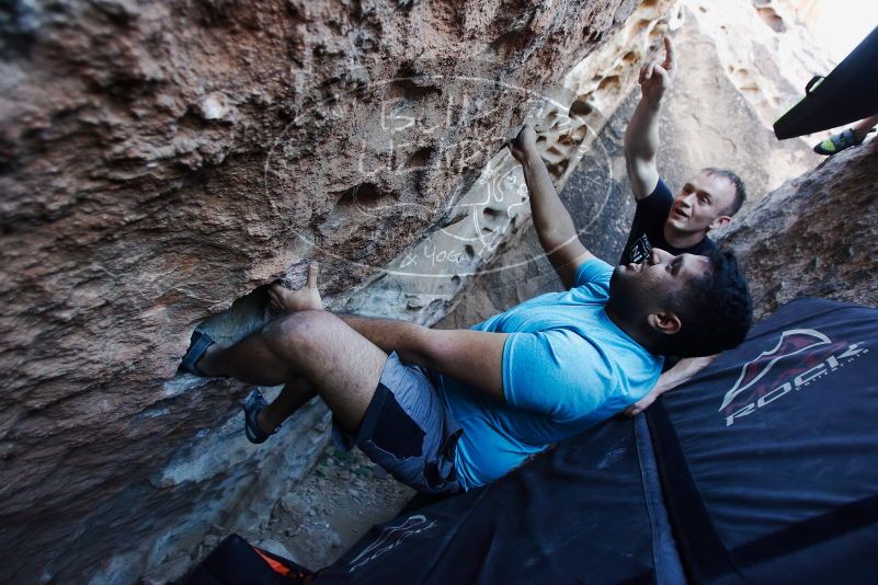 

Filename: SRM_20170317_1014191.jpg
Aperture: f/2.8
Shutter Speed: 1/200
Body: Canon EOS-1D Mark II
Lens: Canon EF 16-35mm f/2.8 L