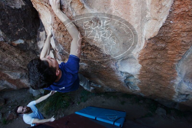 

Filename: SRM_20170317_1015491.jpg
Aperture: f/4.0
Shutter Speed: 1/320
Body: Canon EOS-1D Mark II
Lens: Canon EF 16-35mm f/2.8 L