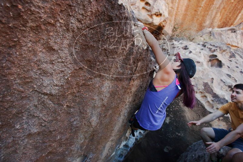 

Filename: SRM_20170317_1019160.jpg
Aperture: f/5.0
Shutter Speed: 1/320
Body: Canon EOS-1D Mark II
Lens: Canon EF 16-35mm f/2.8 L