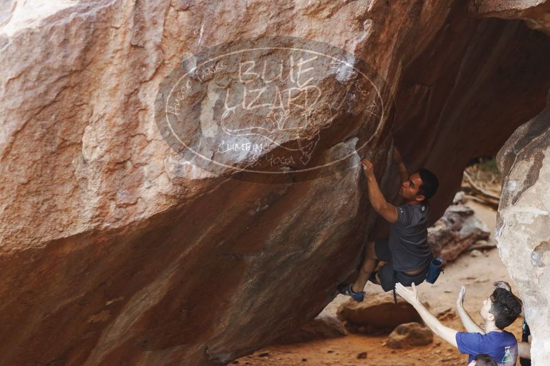 

Filename: SRM_20170317_1031311.jpg
Aperture: f/2.5
Shutter Speed: 1/250
Body: Canon EOS-1D Mark II
Lens: Canon EF 85mm f/1.2 L II