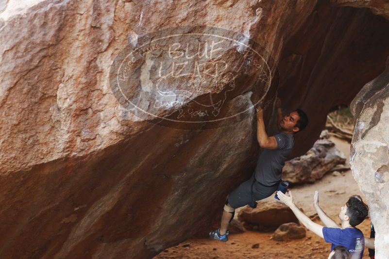 

Filename: SRM_20170317_1031321.jpg
Aperture: f/2.5
Shutter Speed: 1/320
Body: Canon EOS-1D Mark II
Lens: Canon EF 85mm f/1.2 L II