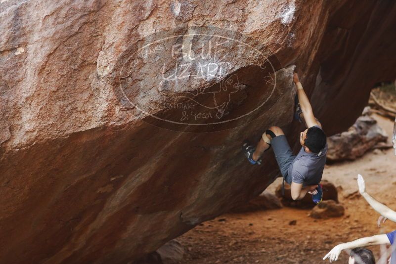 

Filename: SRM_20170317_1031471.jpg
Aperture: f/2.5
Shutter Speed: 1/320
Body: Canon EOS-1D Mark II
Lens: Canon EF 85mm f/1.2 L II