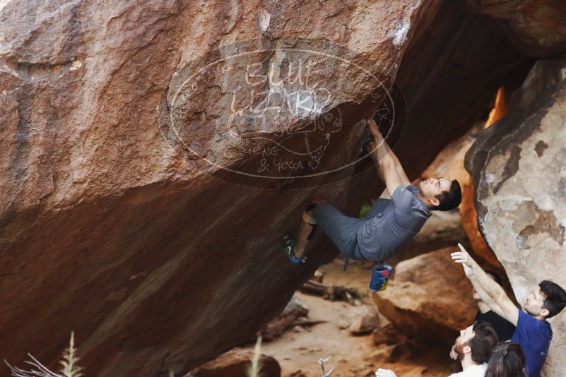 

Filename: SRM_20170317_1031540.jpg
Aperture: f/2.5
Shutter Speed: 1/400
Body: Canon EOS-1D Mark II
Lens: Canon EF 85mm f/1.2 L II