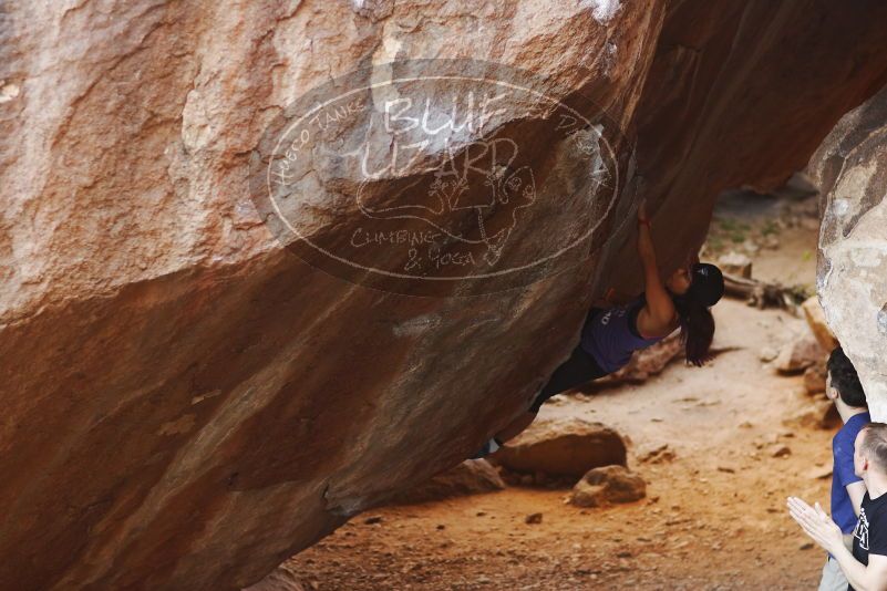 

Filename: SRM_20170317_1034050.jpg
Aperture: f/2.5
Shutter Speed: 1/250
Body: Canon EOS-1D Mark II
Lens: Canon EF 85mm f/1.2 L II