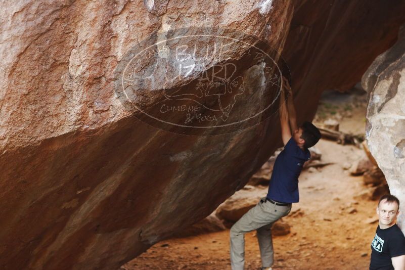 

Filename: SRM_20170317_1034400.jpg
Aperture: f/2.5
Shutter Speed: 1/320
Body: Canon EOS-1D Mark II
Lens: Canon EF 85mm f/1.2 L II