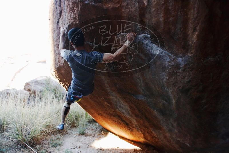 

Filename: SRM_20170317_1039581.jpg
Aperture: f/2.8
Shutter Speed: 1/640
Body: Canon EOS-1D Mark II
Lens: Canon EF 16-35mm f/2.8 L