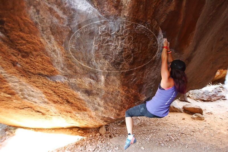 

Filename: SRM_20170317_1042040.jpg
Aperture: f/2.8
Shutter Speed: 1/125
Body: Canon EOS-1D Mark II
Lens: Canon EF 16-35mm f/2.8 L