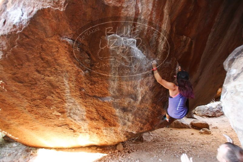 

Filename: SRM_20170317_1042161.jpg
Aperture: f/2.8
Shutter Speed: 1/200
Body: Canon EOS-1D Mark II
Lens: Canon EF 16-35mm f/2.8 L