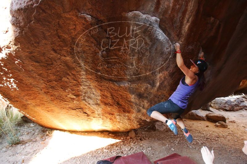 

Filename: SRM_20170317_1042261.jpg
Aperture: f/2.8
Shutter Speed: 1/250
Body: Canon EOS-1D Mark II
Lens: Canon EF 16-35mm f/2.8 L