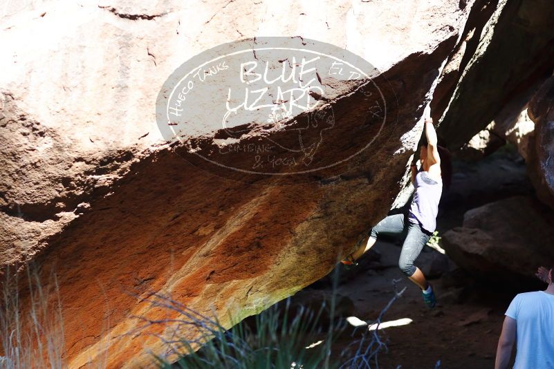 

Filename: SRM_20170317_1048551.jpg
Aperture: f/2.8
Shutter Speed: 1/3200
Body: Canon EOS-1D Mark II
Lens: Canon EF 85mm f/1.2 L II