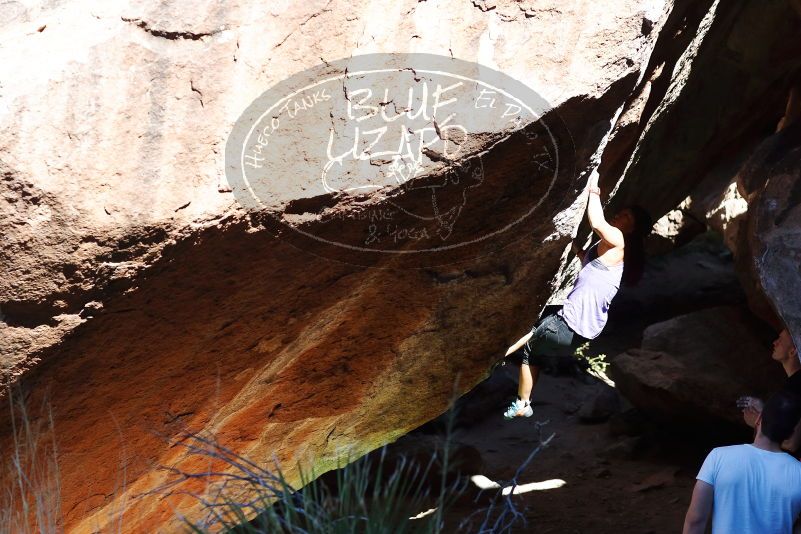 

Filename: SRM_20170317_1049021.jpg
Aperture: f/4.0
Shutter Speed: 1/1600
Body: Canon EOS-1D Mark II
Lens: Canon EF 85mm f/1.2 L II