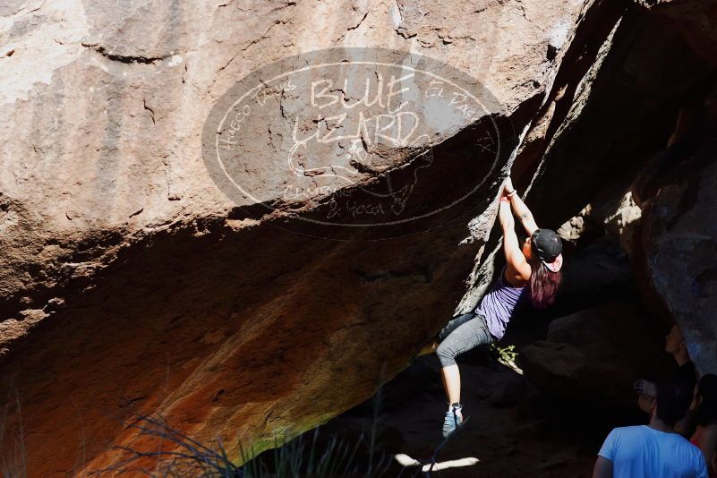 

Filename: SRM_20170317_1049050.jpg
Aperture: f/4.0
Shutter Speed: 1/1600
Body: Canon EOS-1D Mark II
Lens: Canon EF 85mm f/1.2 L II