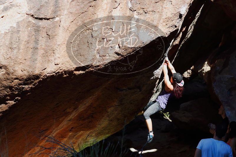 

Filename: SRM_20170317_1049051.jpg
Aperture: f/4.0
Shutter Speed: 1/1600
Body: Canon EOS-1D Mark II
Lens: Canon EF 85mm f/1.2 L II