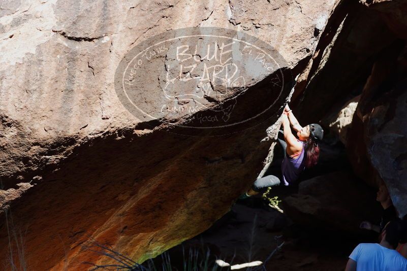 

Filename: SRM_20170317_1049111.jpg
Aperture: f/4.0
Shutter Speed: 1/1600
Body: Canon EOS-1D Mark II
Lens: Canon EF 85mm f/1.2 L II