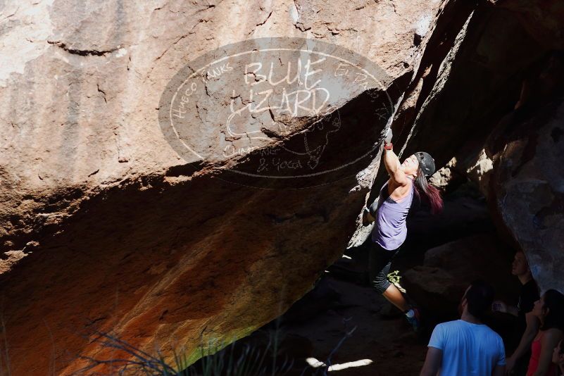 

Filename: SRM_20170317_1049171.jpg
Aperture: f/4.0
Shutter Speed: 1/1600
Body: Canon EOS-1D Mark II
Lens: Canon EF 85mm f/1.2 L II