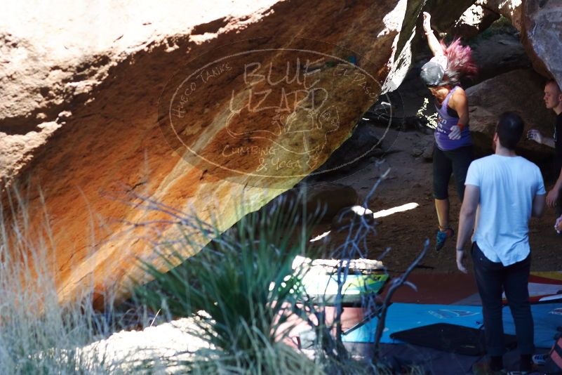 

Filename: SRM_20170317_1049201.jpg
Aperture: f/4.0
Shutter Speed: 1/800
Body: Canon EOS-1D Mark II
Lens: Canon EF 85mm f/1.2 L II