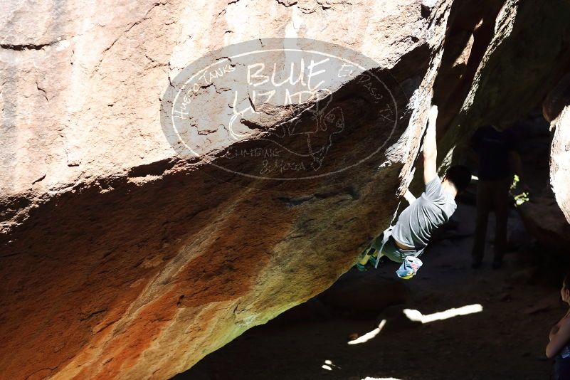 

Filename: SRM_20170317_1051370.jpg
Aperture: f/4.0
Shutter Speed: 1/2000
Body: Canon EOS-1D Mark II
Lens: Canon EF 85mm f/1.2 L II