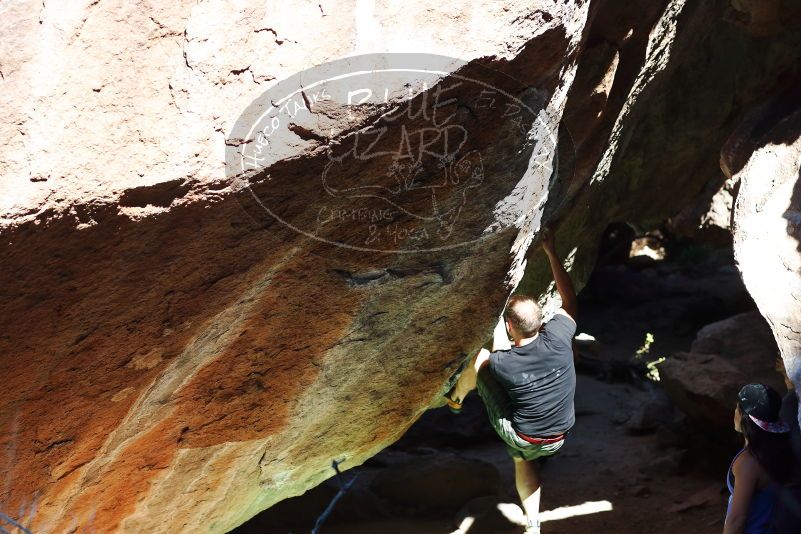 

Filename: SRM_20170317_1052310.jpg
Aperture: f/4.0
Shutter Speed: 1/1250
Body: Canon EOS-1D Mark II
Lens: Canon EF 85mm f/1.2 L II