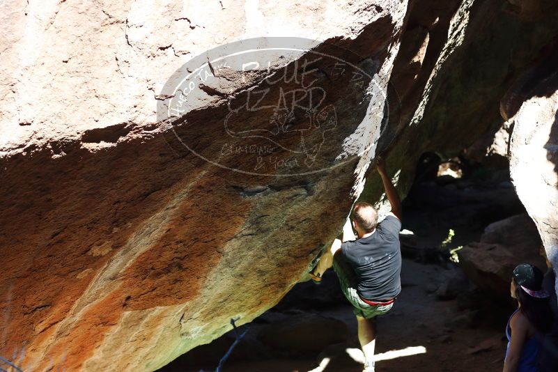 

Filename: SRM_20170317_1052311.jpg
Aperture: f/4.0
Shutter Speed: 1/1600
Body: Canon EOS-1D Mark II
Lens: Canon EF 85mm f/1.2 L II