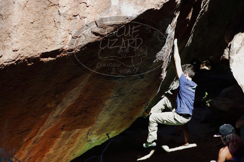 

Filename: SRM_20170317_1052581.jpg
Aperture: f/4.0
Shutter Speed: 1/2000
Body: Canon EOS-1D Mark II
Lens: Canon EF 85mm f/1.2 L II