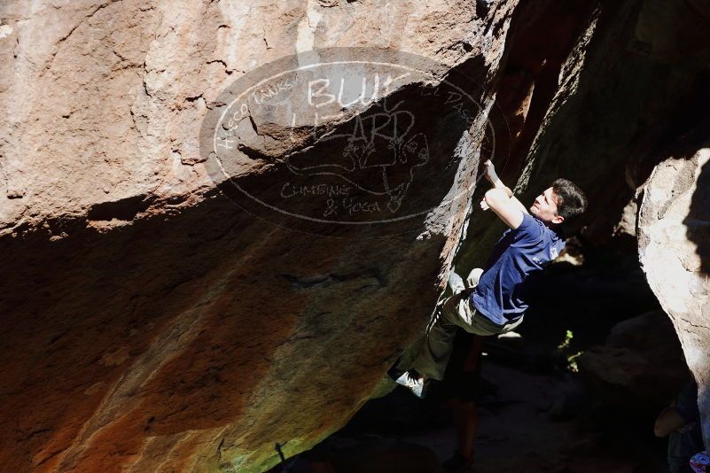 

Filename: SRM_20170317_1053080.jpg
Aperture: f/4.0
Shutter Speed: 1/2000
Body: Canon EOS-1D Mark II
Lens: Canon EF 85mm f/1.2 L II