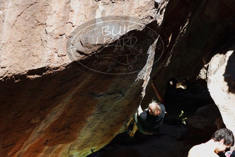 

Filename: SRM_20170317_1054310.jpg
Aperture: f/4.0
Shutter Speed: 1/1600
Body: Canon EOS-1D Mark II
Lens: Canon EF 85mm f/1.2 L II