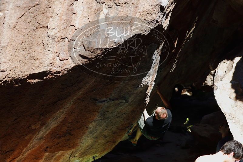 

Filename: SRM_20170317_1054320.jpg
Aperture: f/4.0
Shutter Speed: 1/2000
Body: Canon EOS-1D Mark II
Lens: Canon EF 85mm f/1.2 L II