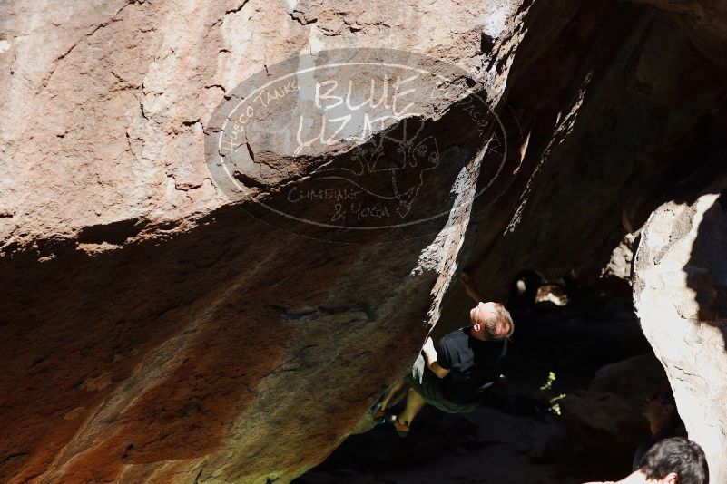 

Filename: SRM_20170317_1054350.jpg
Aperture: f/4.0
Shutter Speed: 1/2000
Body: Canon EOS-1D Mark II
Lens: Canon EF 85mm f/1.2 L II