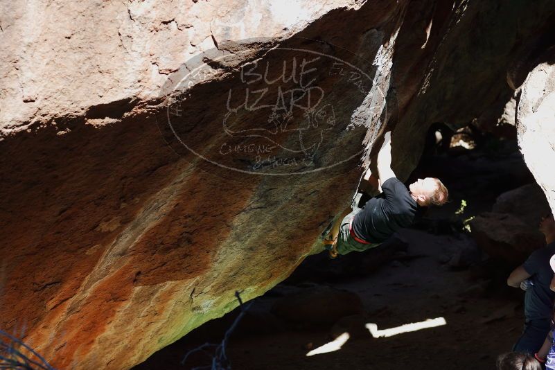 

Filename: SRM_20170317_1055130.jpg
Aperture: f/4.0
Shutter Speed: 1/1250
Body: Canon EOS-1D Mark II
Lens: Canon EF 85mm f/1.2 L II