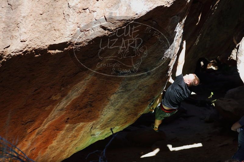 

Filename: SRM_20170317_1055140.jpg
Aperture: f/4.0
Shutter Speed: 1/1600
Body: Canon EOS-1D Mark II
Lens: Canon EF 85mm f/1.2 L II